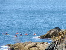 Canoeing in West Wales